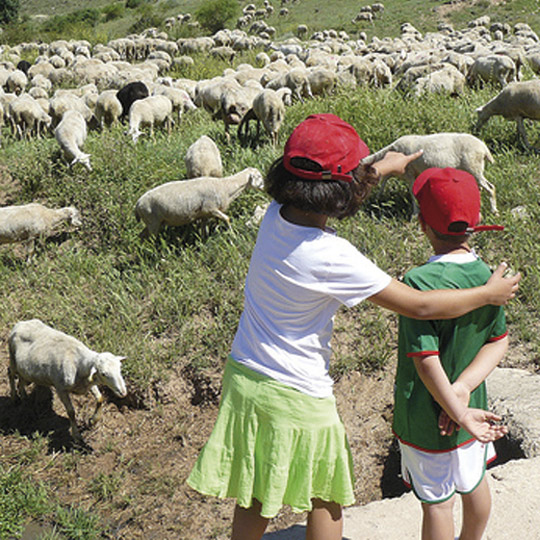 Agroturismo com a família em Navarra 