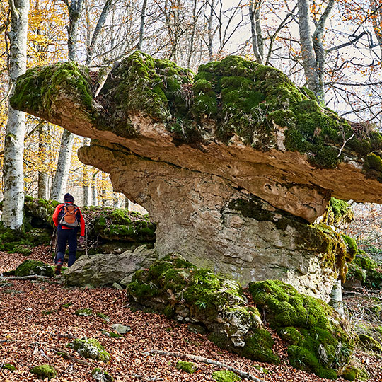 Bosque Encantado en el Parque Natural de Urbasa, Navarra
