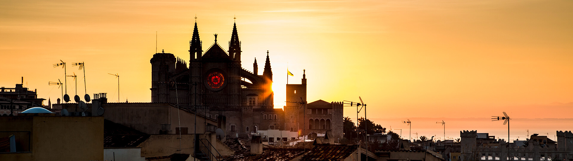 Cathédrale de Palma de Majorque au coucher du soleil