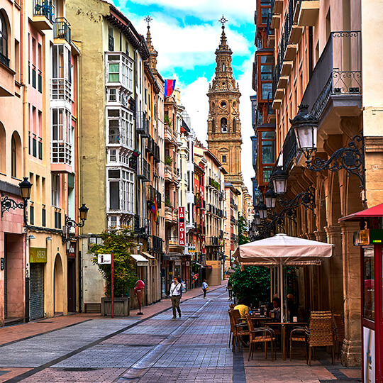 Calle Portales and Logroño Cathedral