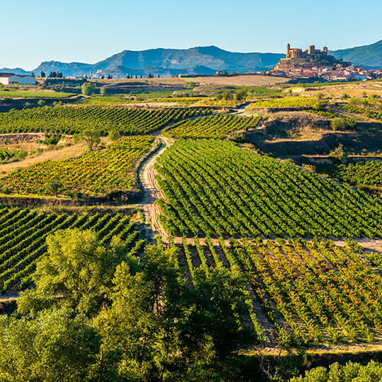 Winnice w San Asensio. Widok San Vicente de la Sonsierra w La Rioja.