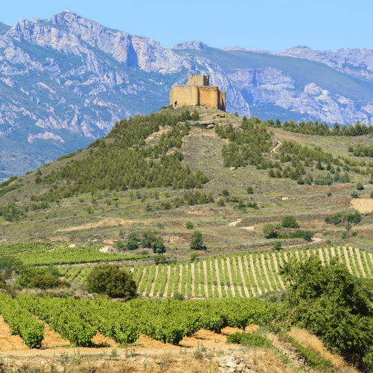 O castelo de Davalillo rodeado de vinhedos, La Rioja