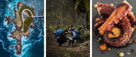 Esquerda: Farol em Ribadeo / Meio: Peregrinos em um bosque na Galícia / Direita: Prato de polvo