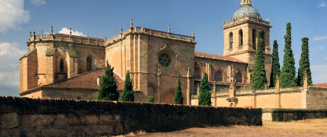 Ciudad Rodrigo cathedral (Salamanca)