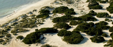 Playa de Rs Trenc