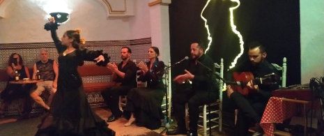 Flamenco show in El Burro Blanco in Nerja, Malaga (Andalusia)