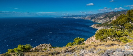 Maro-Cerro Gordo cliffs, Malaga, Andalusia