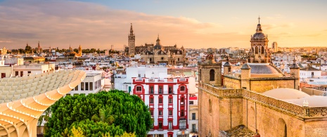 Blick auf die Anunciación-Kirche und die Kathedrale von Sevilla, Andalusien