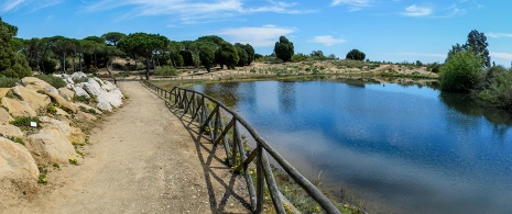 Orto botanico Dunas del Odiel, Huelva