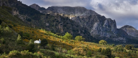 Widok na góry w Parku Narodowym Sierra de las Nieves w Maladze, Andaluzja
