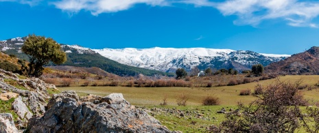 View of the mountains in the Sierra Nevada National Park in Granada, Andalusia