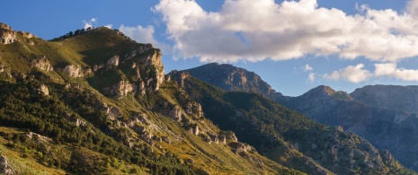 Вид на национальный парк Сьерра-де-лас-Ньевес в провинции Малага, Андалусия