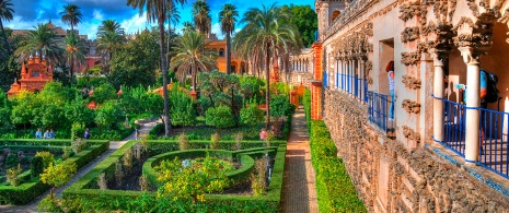 Сады Королевского Алькасара в Севилье