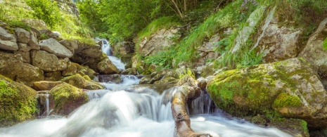 Wasserfall am Fluss Pino in Asturien.