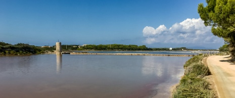 Widok na Estany Pudent w rezerwacie przyrody Ses Salines w Formenterze na Balearach