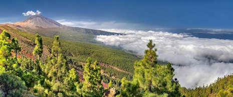 El Teide desde un punto cercano al mirador de Chipeque, Tenerife 