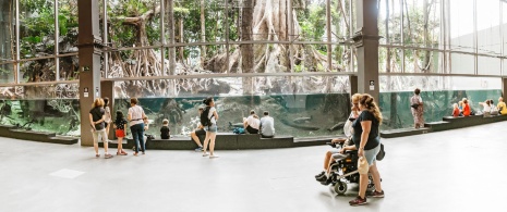 Families contemplating the rainforest at CosmoCaixa in Barcelona, Catalonia