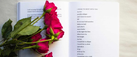 Rosa e livro