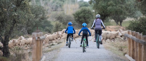 Madre e figli che pedalano lungo la Via Verde Miniera La Jayona a Badajoz