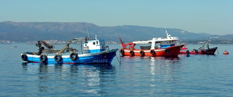 Barcos pesqueiros na Galícia