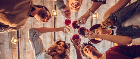 Toast entre amis avec un verre de vin