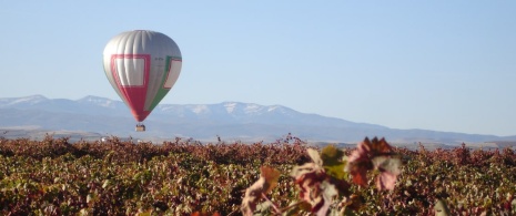 Balon lecący nad winnicami La Rioja