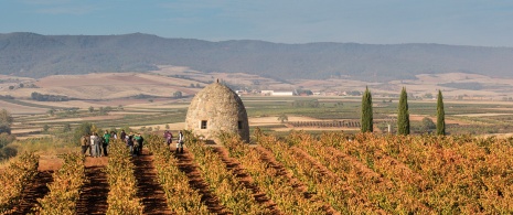 Visita enoturistica a un tipico edificio in pietra dei viticoltori a Badarán, La Rioja