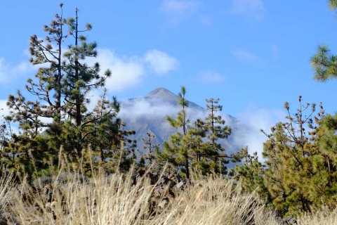 Ansicht des Teide
