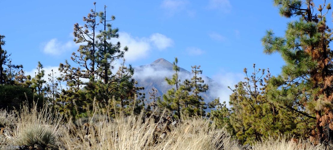 Views of Mt Teide