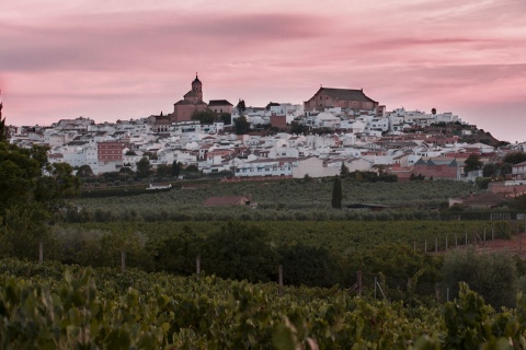 Panoramic view of Montilla (Cordoba, Andalusia)