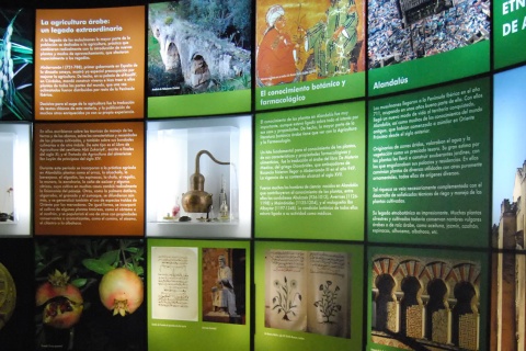 コルドバ民族植物学博物館・植物園の案内パネル
