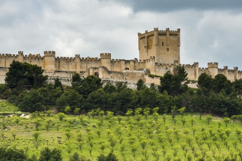Vue du château de Peñafiel, dans la province de Valladolid (Castille-León)