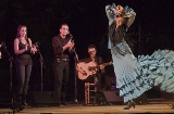 Noite branca do Flamenco de Córdova