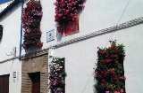 Popularny konkurs na najpiękniejsze balkony i okna w Kordobie
