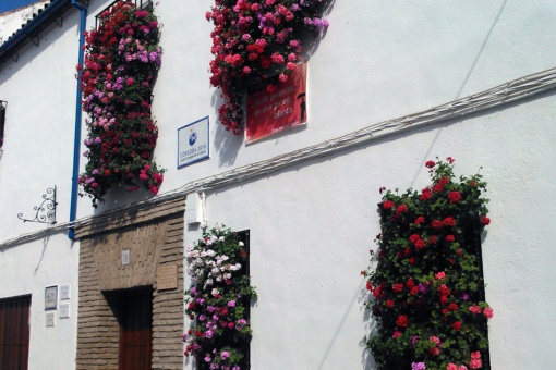 Volkswettbewerb für Gitter und Balkone in Córdoba