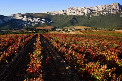 Landschaft entlang der Weinstraße Rioja Alavesa
