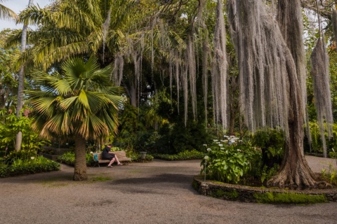 Jardín de Aclimatación de la Orotava en Tenerife, Islas Canarias