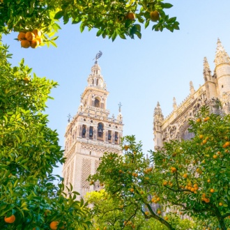 Patio de los Naranjos de la Santa Metropolitana y Patriarcal Iglesia Catedral de Sevilla, Andalucía