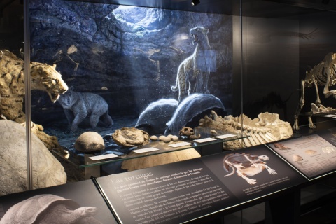 アルカラ・デ・エナーレスにある地域考古学博物館の展示