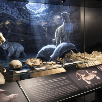 Esposizione del Museo Archeologico Regionale di Alcalá de Henares