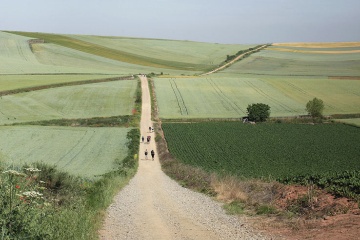  Pejzaż na szlaku pielgrzymkowym Camino de Santiago
