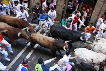 Stierrennen beim San Fermín-Fest in Pamplona (Navarra)