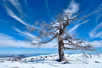 Zimowy pejzaż w Parku Narodowym Sierra de las Nieves, Malaga