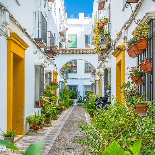 View of one of the streets of the old Jewish quarter, Judería, in Cordoba