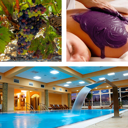 Vineyards in La Rioja, vinotherapy and spa