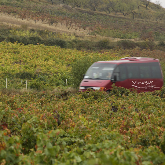 Tourist wine bus