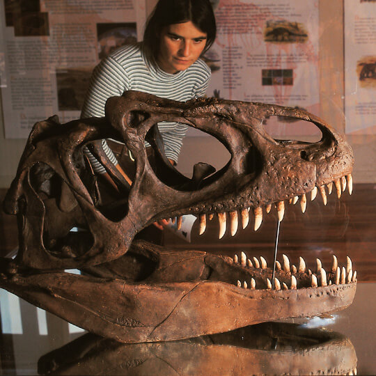 Dinossauros em Enciso, La Rioja