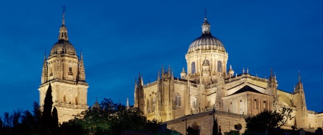 Cattedrale di Salamanca