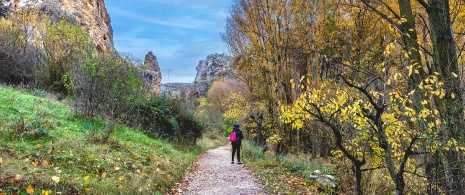  Osoba spacerująca na obszarze chronionego krajobrazu Barranco del Río Dulce w Guadalajarze, Kastylia-La Mancha 