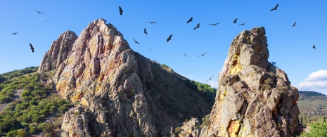 Aves sobrevoando o Parque Nacional de Monfragüe